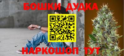 ГАЛЛЮЦИНОГЕННЫЕ ГРИБЫ Камышлов